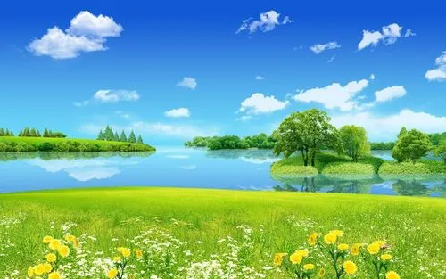 高质量全自动节能